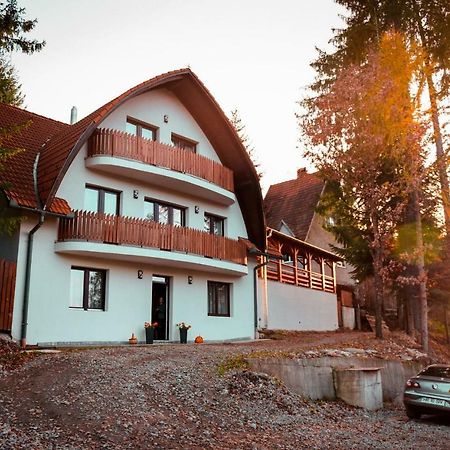 Villa Homorod Kulcsoshaz à Băile Homorod Extérieur photo